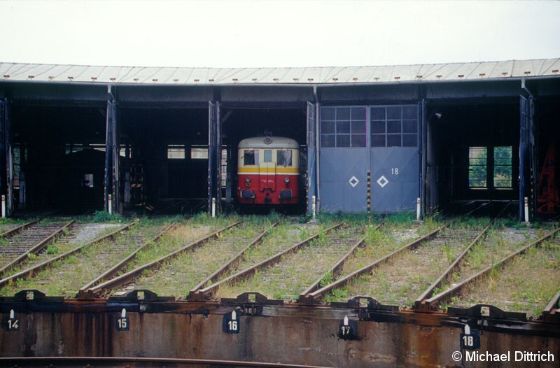 Bild: Dieser Triebwagen ist ein 830 der da in dem Ringschuppen des Depot Krnov steht.