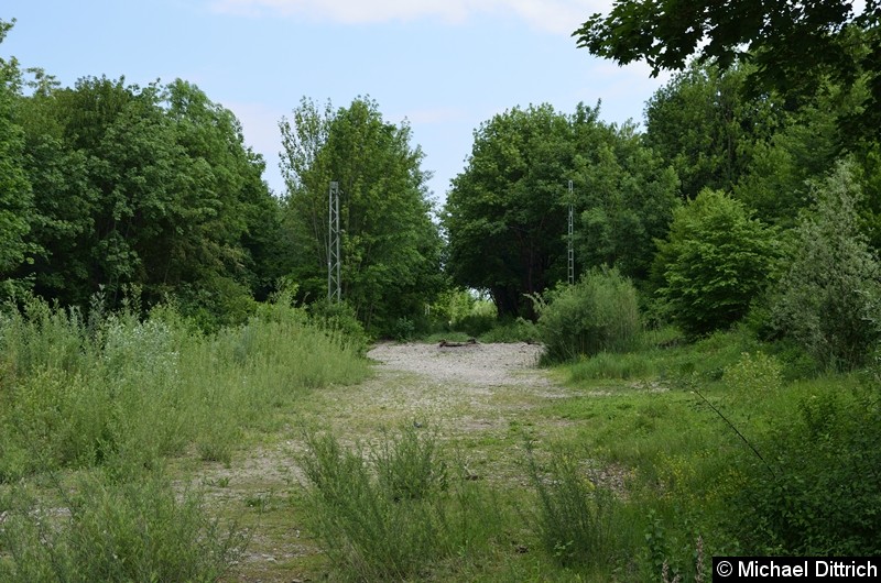 Bild: Überreste der Strecke.
