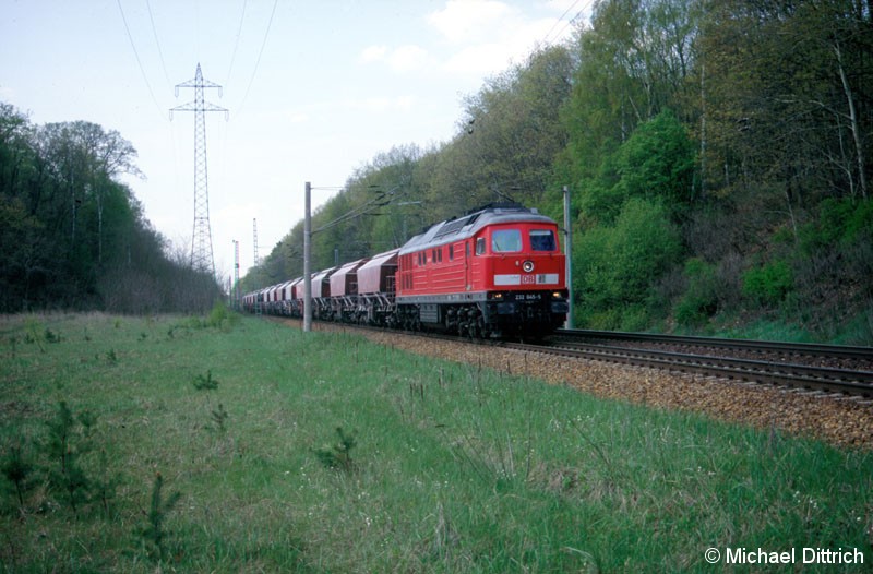 Bild: 232 045 mit einem Güterzug auf dem Berliner Außenring zwischen Golm und Potsdam Pirschheide.