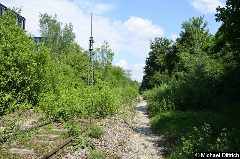 Bild: 
