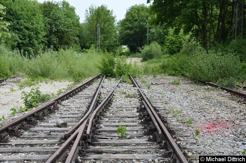 Bild: 