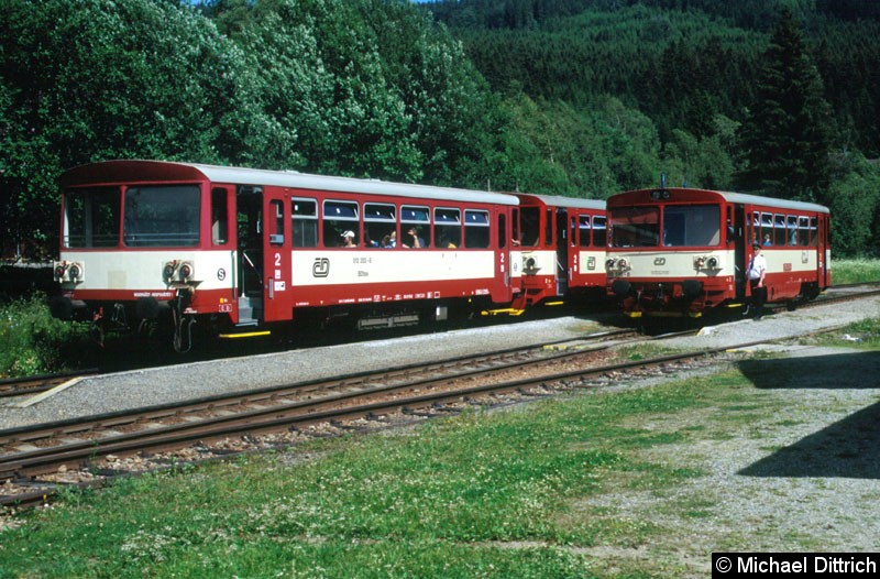 Bild: 810 510 und ein Beiwagen in Kubova Hut.
