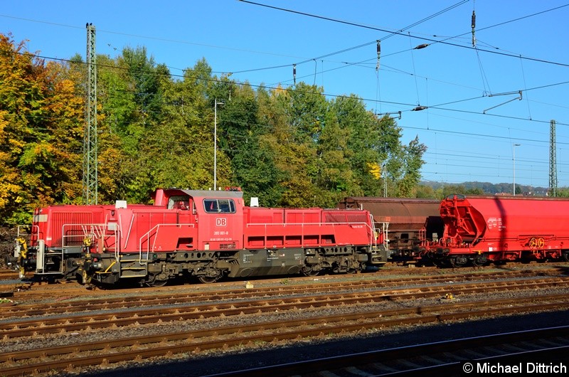 265 001 macht Sonntagsruhe in Neuhof (Kr. Fulda).