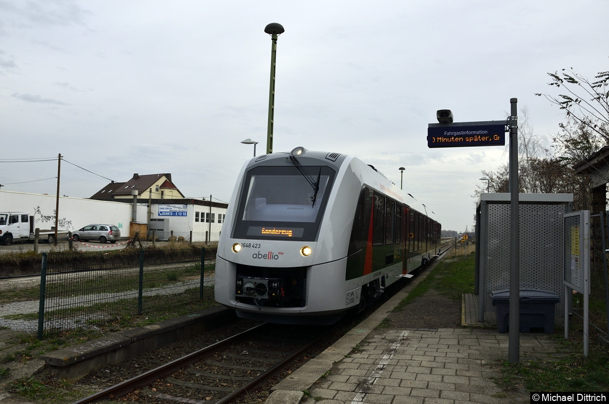 1648 423 als Sonderzug in Elsnigk (Anhalt).