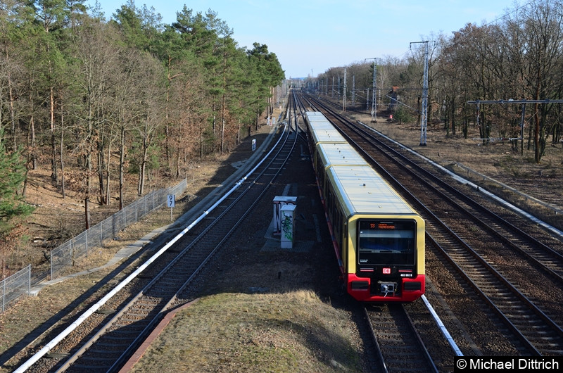 483 003 + 484 003 bei der Ausfahrt in Wuhlheide.