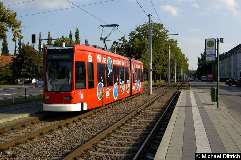 Bild: 309 als Linie 1 an der Haltestelle Dammaschke Str.