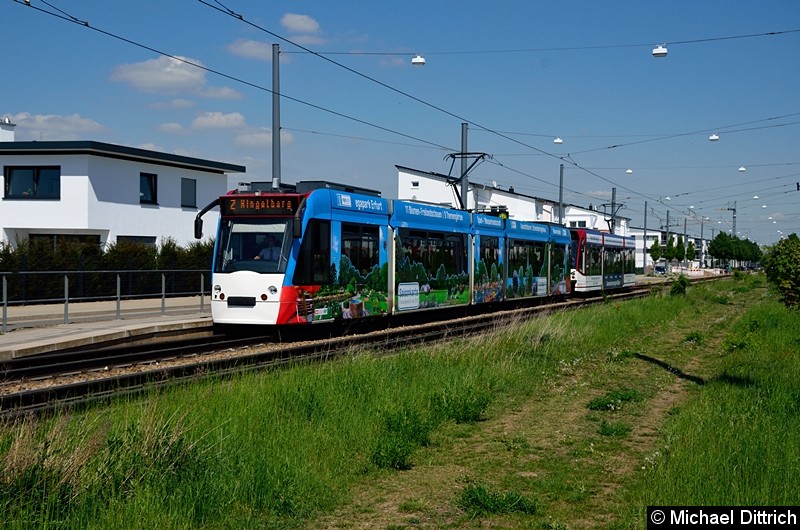 Bild: 625 und 704 als Linie 2 an der Haltestelle Ringelberg.
