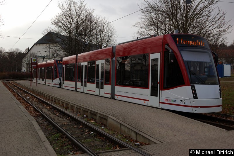 Bild: Combino 719 und 714 als Linie 1 an der Haltestelle Thüringenhalle.