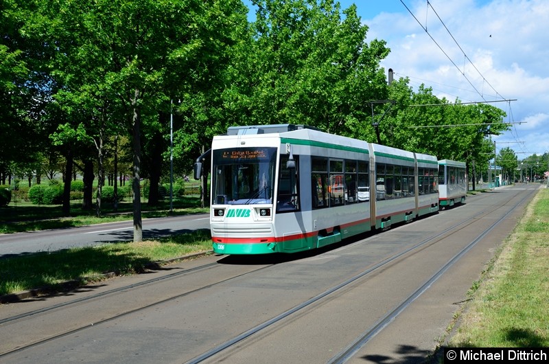 Bild: 1306 + 2206 als Linie 41 kurz vor der Haltestelle Jerichower Platz.