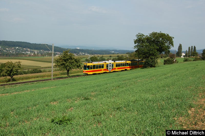Bild: In Leymen (Frankreich)
