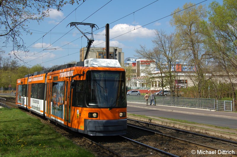 Bild: 1093 als Linie M8 vor der Haltestelle Allee der Kosmonauten/Rhinstraße.