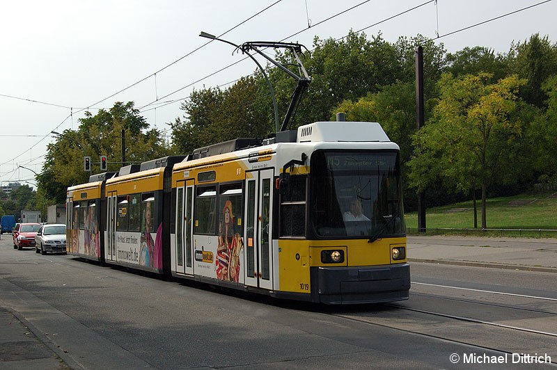 Bild: 1019 als Linie M5 an der Haltestelle Judith-Auer-Straße.