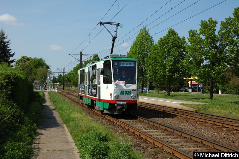Bild: Wagen 1280 als Fahrschule anlässlich 30 Jahre Strecke nach Olvenstedt: Hier kurz hinter der Haltestelle Albert-Vater-Str.