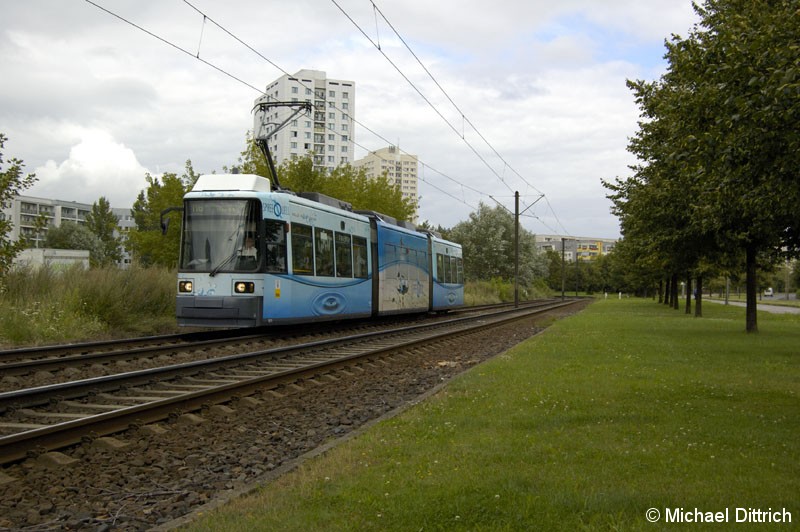 Bild: 1071 als Linie M6 vor der Haltestelle Marzahner Prommenade.
