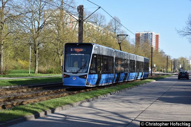 Bild: 603 als Linie 5 zwischen den Haltestellen Warnowallee und Turkuer Str.