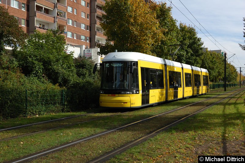 Bild: 4017 als Linie M5 zwischen den Haltestellen Prerower Platz und Ahrenshooper Str.