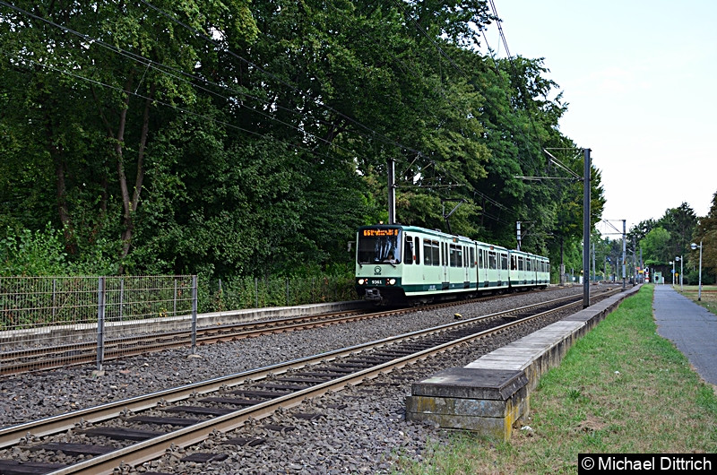 9361 und 9373 als Linie 66 bei der Ankunft an der Haltestelle Oberkassel Süd/Römlinghoven.