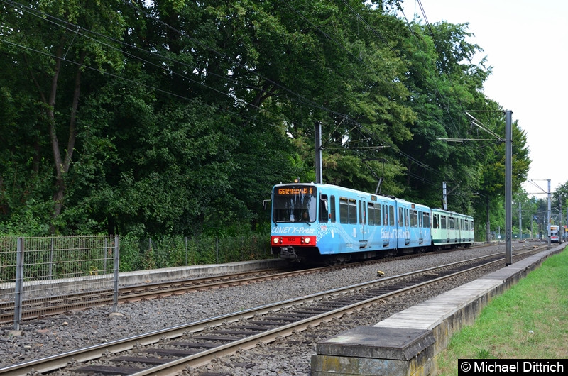 9352 und 9354 als Linie 66 bei der Ankunft an der Haltestelle Oberkassel Süd/Römlinghoven.