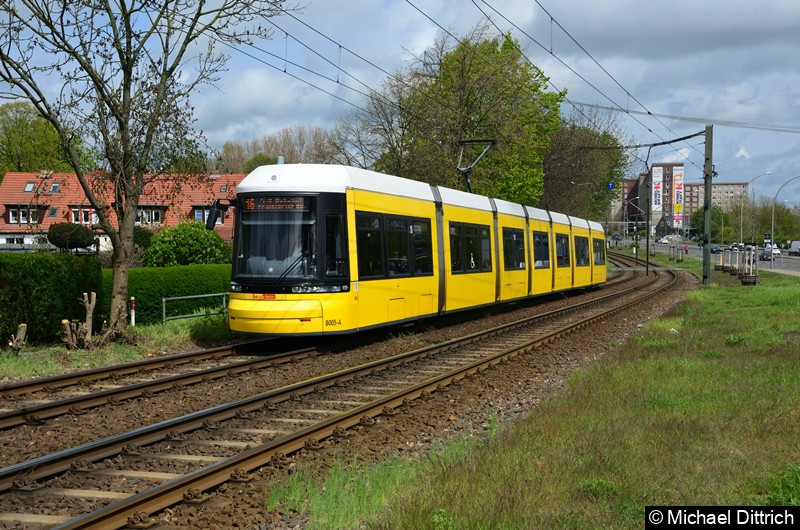 Bild: 8005 als Linie 16 zwischen den Haltestellen Landsberger Allee/Rhinstr. und Dingelstädter Str.