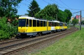 6118 + 6142