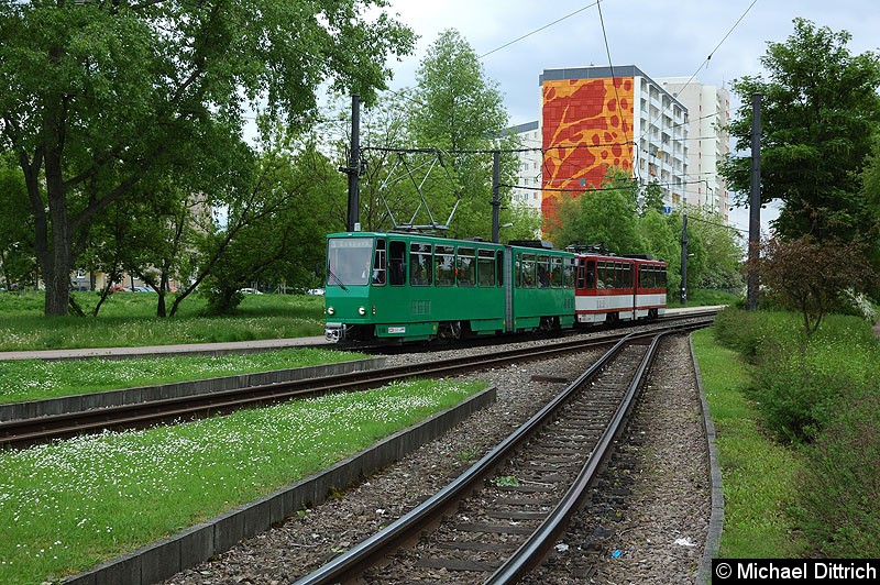 Bild: KT4D 518 und 405 als Linie 5 bei der Ankunft am Zoopark.