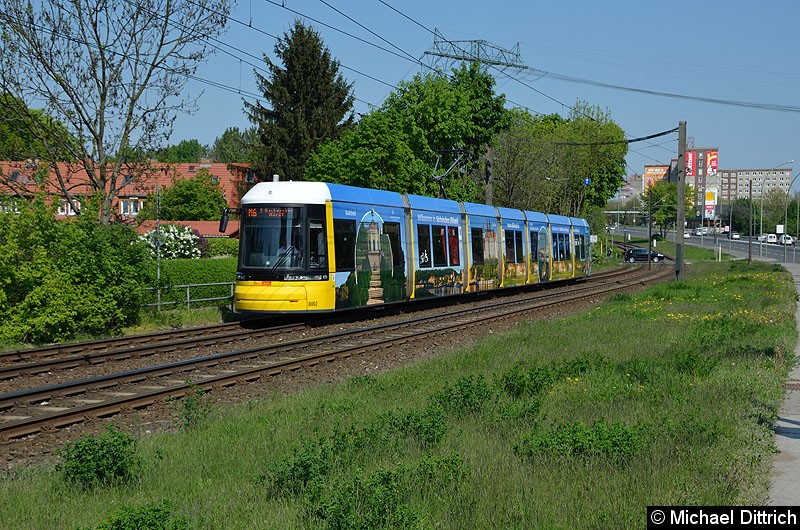 Bild: 8002 als Linie M6 kurz vor der Haltestelle Landsberger Allee/Rhinstr.