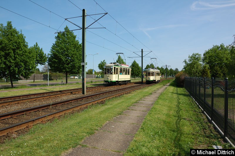 Bild: Wagen 70 als Linie 77 anlässlich 30 Jahre Strecke nach Olvenstedt: Hier zwischen den Haltestellen Rennetal und Albert-Vater-Str., wo ihm der Wagen 124 entgegen kommt.