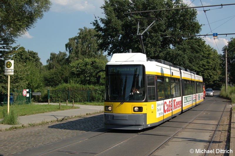 Bild: 1003 als Linie M1 an der Haltestelle Rosenthal Nord.