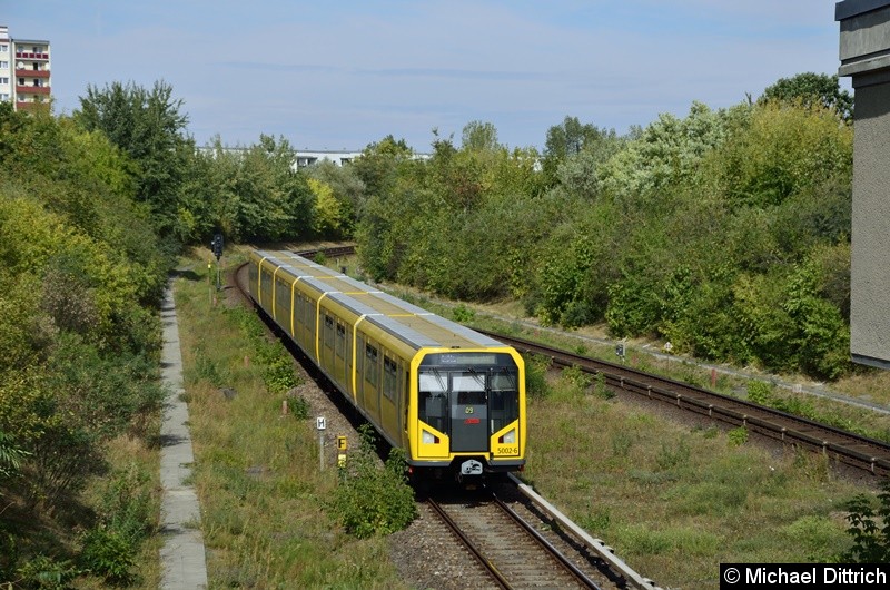 Bild: 5002 erreicht gleich den Bahnhof Kienberg.