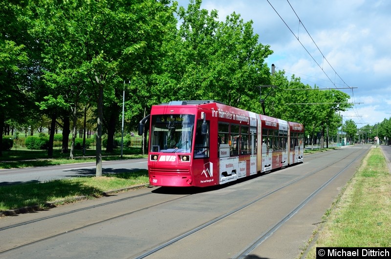 Bild: 1350 als Linie 5 kurz vor der Haltestelle Jerichower Platz.