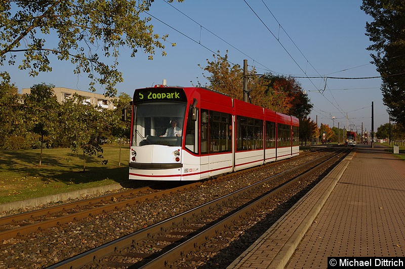 Bild: Combino 650 als Linie 5 zwischen den Haltestellen August-Frölich-Straße und Roter Berg.