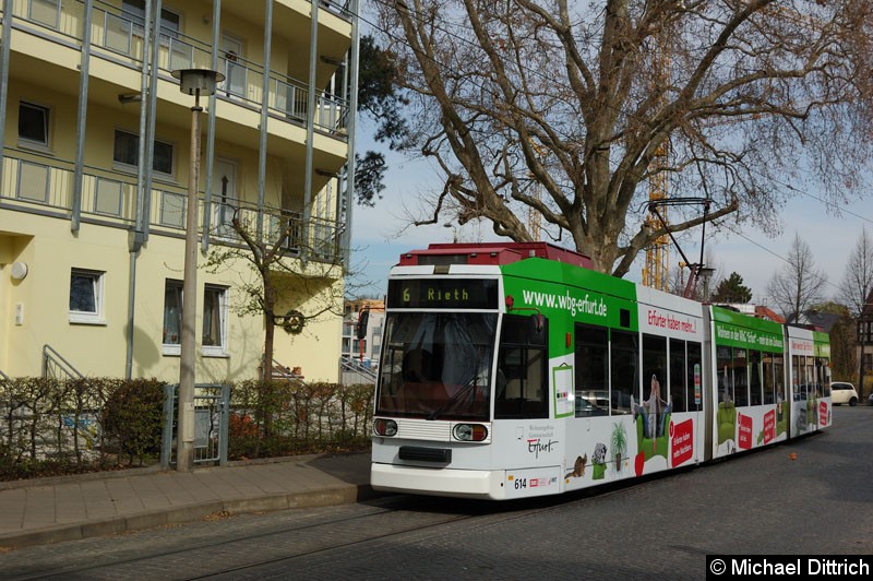 Bild: MGT6D/E 614 als Linie 6 an der Haltestelle Steigerstraße.