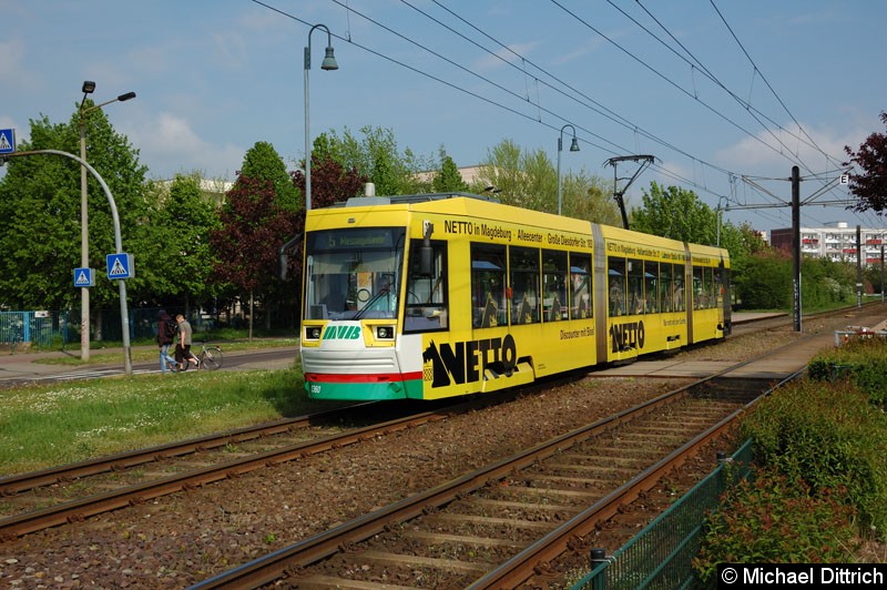 Bild: 1360 als Linie 5 an der Haltestelle Sternbogen.