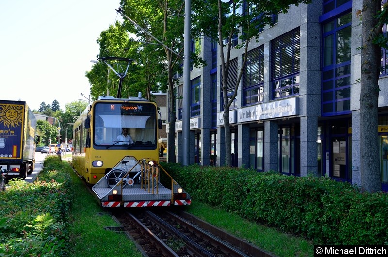 Bild: Zahnradbahn 1003 zwischen den Haltestellen Zahnradbf. und Degerloch.