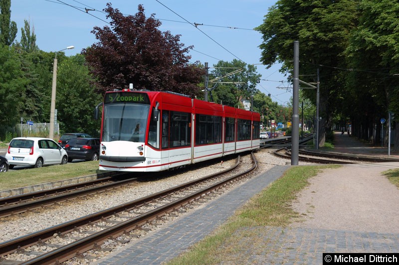 Bild: Combino 651 als Linie 5 in Höhe des Schützenplatzes.