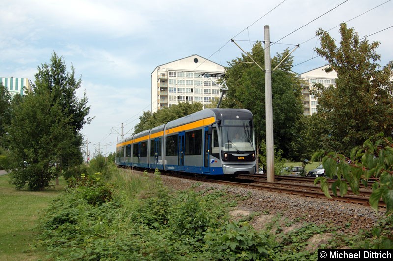 Bild: 1215 auf dem Weg nach Lößnig zwischen Moritz-Hof und Lößnig.