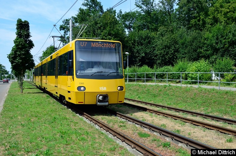 Bild: 3365 als Linie U7 zwischen den Haltestellen Freiberg und Mönchfeld.