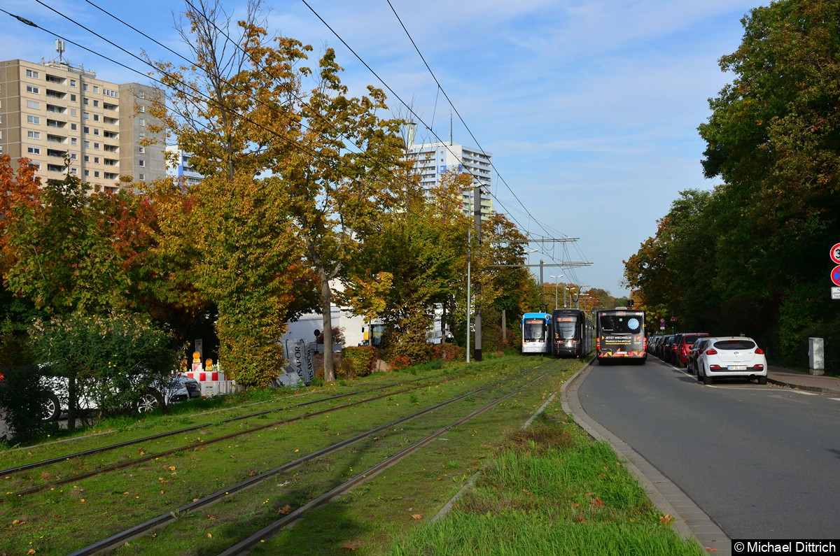 Der Wagen 225 begegenet dem Wagen 231 zwischen den Haltestelle Hindemiethstraße und ZDF. Daneben überholt ein Linienbus.