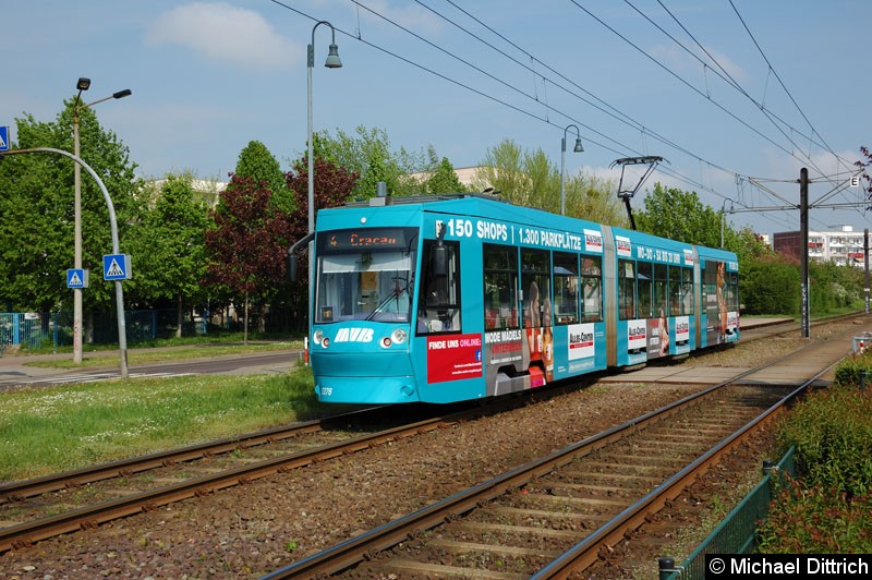 Bild: 1376 als Linie 4 an der Haltestelle Sternbogen.