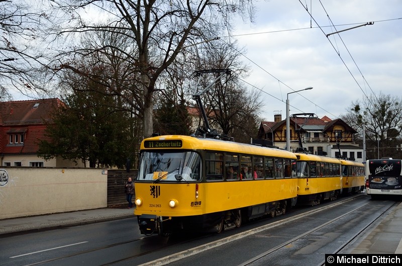 Bild: 224 263 + 224 265 + 224 217 als Linie 11 an der Haltestelle Angelikastraße.