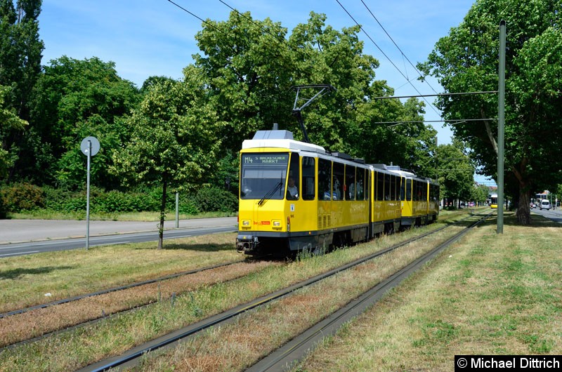 Bild: 6129 + 6151 als Linie M4 in der Greifswalder Str. kurz vor der Danziger Str.