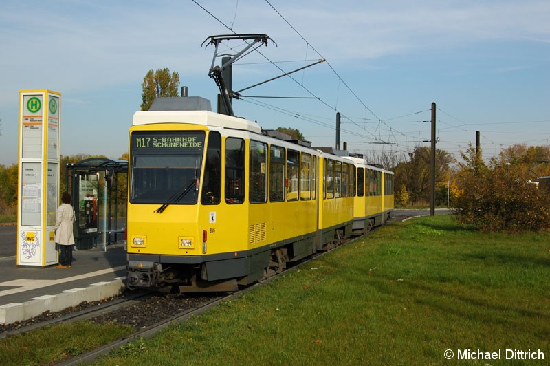 Bild: 6087 als Linie M17 an der Haltestelle Falkenberg.