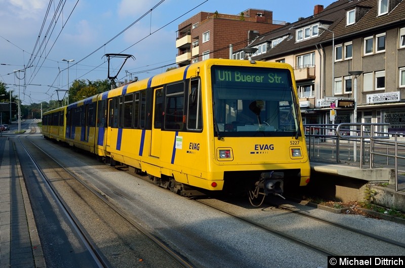 5227 + 5234 als Linie U11 in der Haltestelle Buerer Straße in Gelsenkirchen.