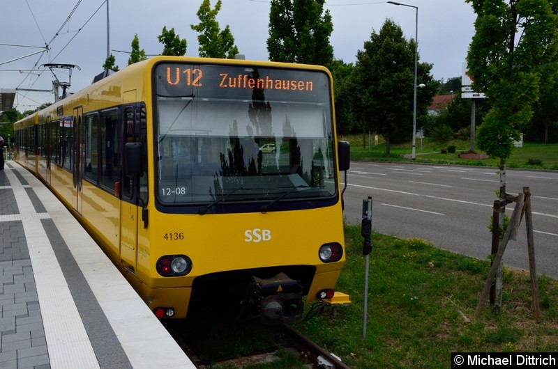 Bild: 4136 als Linie U12 in der Haltestelle Hallschlag.
