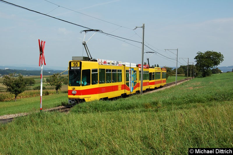 Bild: In Leymen (Frankreich)