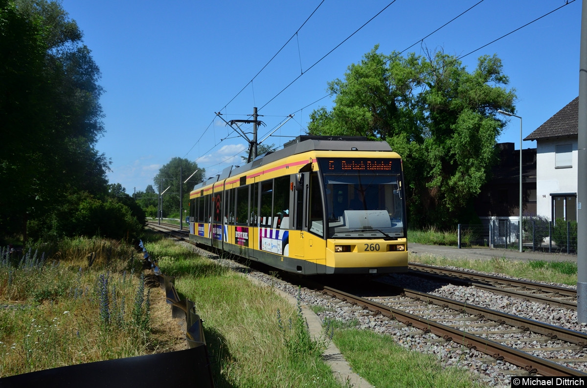 Bild: 260 kommt als Linie 5 aus dem Betriebshof West und setzt in Kürze ein.