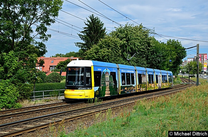 Bild: 8002 als Linie M6 kurz vor der Haltestelle Landsberger Allee/Rhinstr.