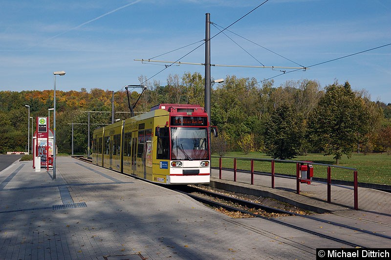 Bild: MGT6D/E 610 als Linie 5 an der Haltestelle Zoopark.