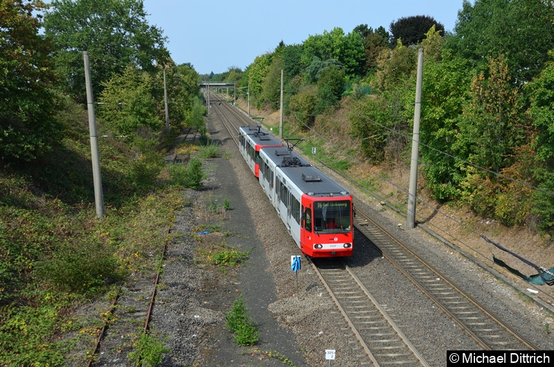 Als erster Wagen fährt hier der 2237 in Richtung Bonn in die Haltestelle Buschdorf ein.