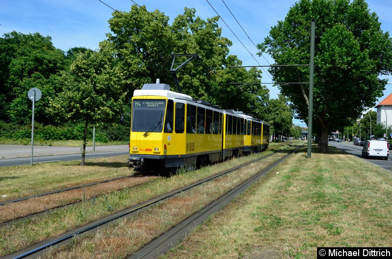 Bild: 6096 + 6036 als Linie M4 in der Greifswalder Str. kurz vor der Danziger Str.